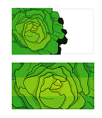 템플릿 배너템플릿 음식 채소 식재료 명함 명함템플릿 미니배너 배추 배추잎 이미지템플릿 배너 미니