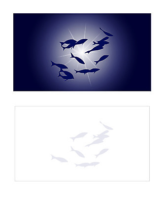 동물 템플릿 척추동물 배너템플릿 명함 명함템플릿 미니배너 어패류 어류 빛 바닷속 해저 이미지템플릿 배너 수중 수중동물 미니