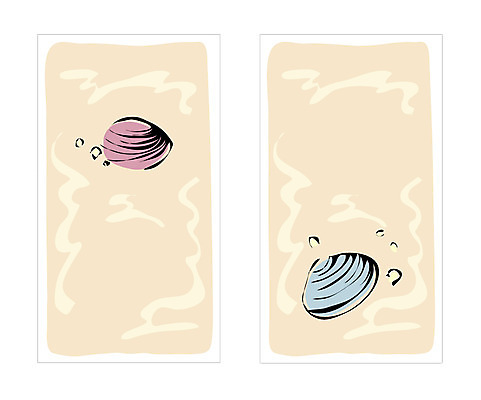 템플릿 배너템플릿 명함 명함템플릿 미니배너 조개 어패류 연체동물 이미지템플릿 동물 배너 무척추동물 미니