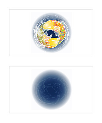 동물 템플릿 척추동물 배너템플릿 명함 명함템플릿 미니배너 어패류 어류 잉어 이미지템플릿 배너 수중동물 미니