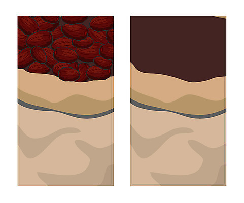 템플릿 배너템플릿 명함 명함템플릿 미니배너 약 한의학 한약재 한약 대추 이미지템플릿 배너 의학 약재 미니