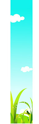 동물 구름 템플릿 척추동물 배너템플릿 사계절 계절 세로배너 하늘 개구리 양서류 풀잎 청개구리 이미지템플릿 자연요소 배너 잎 세로 풀_식물