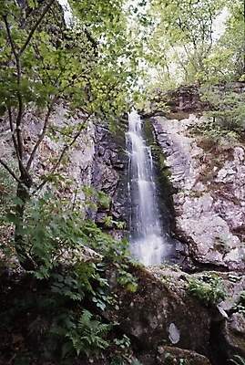 포토 JPG 주간 나무 식물 산 물줄기 풍경 사람없음 야외 물 여름 여름휴가 바캉스 계곡 폭포 돌_바위 바위 국내포토 자연요소 계절 자연 휴가 파일형식 여름_계절
