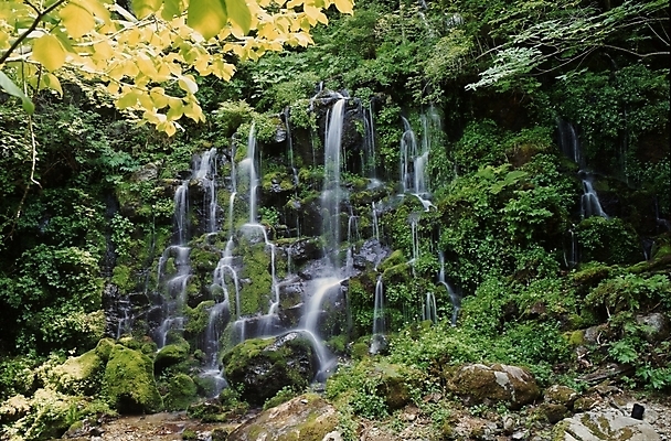 포토 JPG 주간 나무 식물 산 이끼 풍경 사람없음 야외 물 여름 여름휴가 바캉스 골짜기 계곡 폭포 국내포토 자연요소 계절 자연 휴가 파일형식 여름_계절