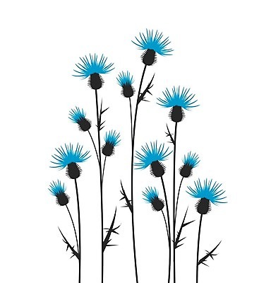 EPS 해외이미지 모양 식물 디자인 계절 꽃 실루엣 백그라운드 잎 꽃무늬 패턴 일러스트 자연 벽지 미술 초원 그래픽 장식 초록색 정원 검은색 봄 벚꽃 흰색 신용카드 가시 허브 그림 복고 엉겅퀴 내추럴 엘리먼트 해외202004 해외일러스트 컬러 무늬 문화예술 촬영기법 금융 생태계 파일형식 벡터