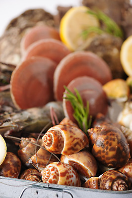 포토 JPG 해외이미지 음식 바다 백그라운드 재료 태국 조개 새우 건강 종류 육류 요리 사람없음 주방 식당 식사 굴 신선 만 시장 맛 레몬 해산물 메뉴 준비 날것 가리비 단백질 생식 오메가 많음 맛있는 해외202004 해외포토 아시아 컨셉 과일 식재료 어패류 갑각류 상점 영양소 파일형식