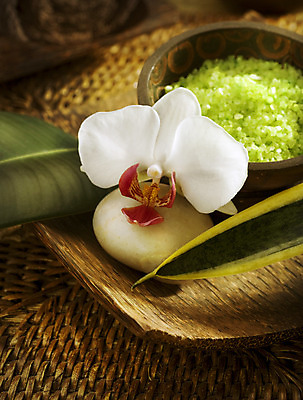 포토 JPG 해외이미지 라이프스타일 웰빙 꽃 바다 잎 신체 자연 휴식 새로움 건강 사람없음 목재 치료 초록색 수건 갈색 상점 스파 목욕 화장품 바위 흰색 대접 마사지 난초 고급 닫기 씻기 소중 피부 피부관리 유기농 소금 테라피 내추럴 돌봄 신청 해외202004 해외포토 나무 식물 컬러 컨셉 재료 의학 모션 생활 신체부위 위생용품 뷰티 청결 돌_바위 생태계 파일형식