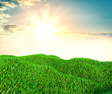 포토 JPG 해외이미지 식물 하늘 날씨 풍경 잔디 초원 사람없음 야외 초록색 맑음 봄 전원 해외202004 해외포토 계절 컬러 전기에너지 파일형식