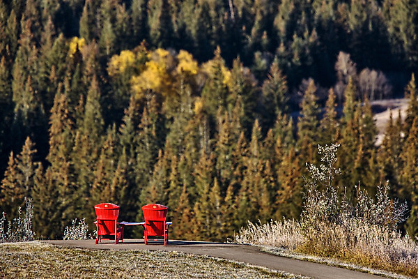 포토 JPG 해외이미지 나무 공원 백그라운드 캐나다 겨울 자연 사람없음 야외 맑음 얼음 추위 흰색 눈송이 언덕 서리 폭설 해외202004 해외포토 자연요소 식물 계절 공공시설 컬러 북아메리카 날씨 눈_날씨 자연재해 생태계 파일형식