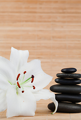 포토 JPG 해외이미지 꽃잎 꽃 백그라운드 사람없음 쌓기 검은색 스파 조약돌 흰색 마사지 난초 테라피 해외202004 해외포토 식물 컬러 모션 뷰티 돌_바위 파일형식