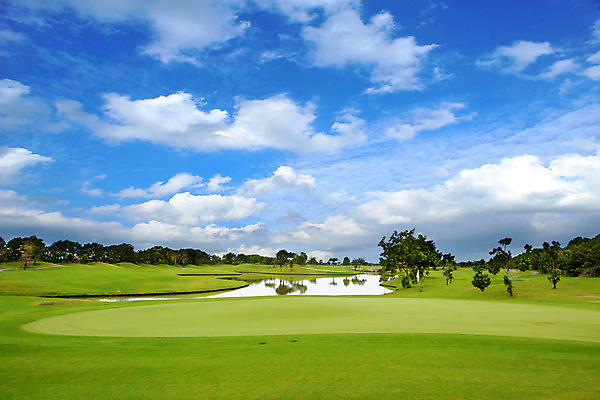 포토 JPG 해외이미지 나무 식물 구름 계절 공원 스포츠 여행 밭 골프 골프장 하늘 풍경 잔디 초원 사람없음 야외 여름 햇빛 봄 농촌 깃발 구멍 해외202004 해외포토 자연요소 공공시설 농업 스포츠시설 태양 구기 시골 파일형식