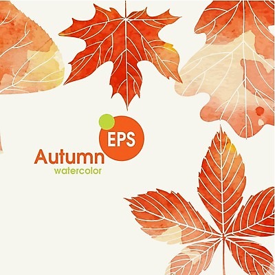EPS 해외이미지 식물 백그라운드 단풍 잎 일러스트 자연 수채화 사람없음 빨간색 가을 밤 해외202004 해외일러스트 계절 컬러 견과류 생태계 파일형식 벡터