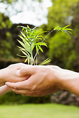 포토 JPG 해외이미지 식물 백인 손 여자 남자 잎 함께함 20대 성인 취미 야외 두명 농장 정원 원예 정원가꾸기 묘목 성인만 정확 해외202004 해외포토 서양인 나무 컨셉 농업 사람 청년 신체부위 파일형식