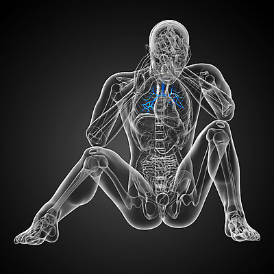포토 JPG 해외이미지 과학 신체 해부 건강 사람 사람없음 보라색 오르간 해외202004 해외포토 컬러 의학 건반악기 파일형식