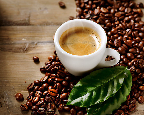 포토 JPG 해외이미지 디자인 커피 음료 음식 백그라운드 잎 사람없음 컵 갈색 검은색 카페 머그컵 에스프레소 세피아 카페인 카피스페이스 해외202004 해외포토 식물 식기 컬러 촬영기법 상점 공백 파일형식