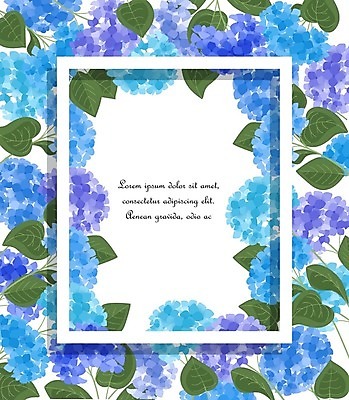 EPS 해외이미지 백그라운드 잎 일러스트 프레임 타이포그라피 사람없음 파란색 우아함 수국 카피스페이스 해외202004 해외일러스트 식물 문자 꽃 컬러 컨셉 공백 파일형식 벡터