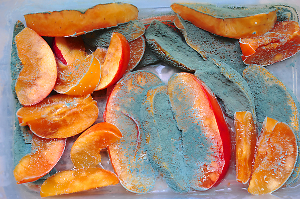 포토 JPG 해외이미지 음식 컨셉 과일 아이디어 사람없음 빨간색 손상 점 바이러스 지저분함 질병 사과 유기농 썩음 옛날 해외202004 무례 해외포토 웰빙 컬러 의학 감각 파일형식