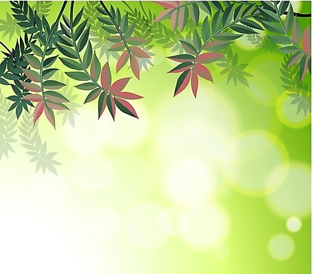 EPS 해외이미지 식물 템플릿 디자인 포스터 종이 잎 일러스트 학교 문구용품 미술 경사 그래픽 장식 초록색 빛 사무실 우주 공백 인사 원형 신용카드 편지 천 관목 그림 예술가 초대 결정체 망사 블러 양치류 양피지 엘리먼트 특별함 공급 많음 카피스페이스 그리너리 해외202004 해외일러스트 도형 나무 교육 컬러 컨셉 비즈니스 문화예술 금융 직물 예절 오브젝트 파일형식 벡터 트랜드컬러