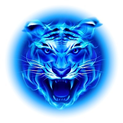 EPS 해외이미지 동물 스포츠 백그라운드 컨셉 일러스트 자연 불 추상 불꽃 아이디어 미술 사람없음 그래픽 파란색 빛 머리 고양이 힘 대립 분노 흰색 뜨거움 원형 호랑이 더위 만화 심볼 가스 온도 내추럴 연소 고립 동물상 마스코트 포효 해외202004 해외일러스트 자연요소 도형 감정 컬러 무늬 포유류 날씨 문화예술 신체부위 반려동물 조형물 외침 생태계 파일형식 벡터