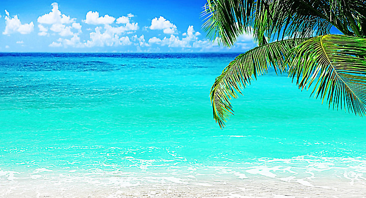 포토 JPG 해외이미지 나무 구름 파도 바다 여행 하늘 풍경 사람없음 야외 물 여름 빛 맑음 낭만 나뭇가지 지중해 휴양지 파라다이스 해외202004 해외포토 자연요소 식물 계절 컨셉 날씨 장소 파일형식