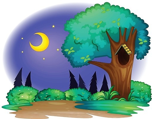 EPS 해외이미지 나무 별 길 잎 일러스트 하늘 주택 풍경 야외 목재 초록색 환경 황혼 나뭇가지 소나무 황무지 야간 저녁 숲 초승달 만화 달빛 먼지 공상 선로 양치류 해외202004 해외일러스트 자연요소 식물 컬러 재료 건물 일몰 달 밤 파일형식 벡터