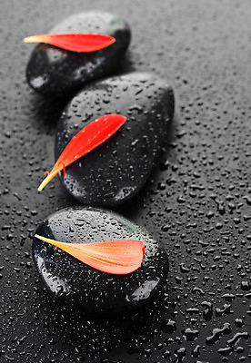 포토 JPG 해외이미지 꽃잎 꽃 백그라운드 컨셉 사람없음 빨간색 물 쌓기 검은색 스파 젖음 조약돌 물방울 마사지 매끈함 해외202004 해외포토 자연요소 식물 컬러 모션 돌_바위 감각 파일형식