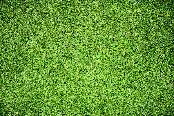 포토 JPG 해외이미지 식물 잔디 사람없음 야외 초록색 하이앵글 봄 해외202004 해외포토 계절 뷰포인트 컬러 파일형식