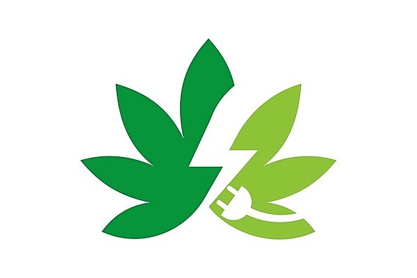 EPS 해외이미지 식물 잎 일러스트 씨앗 사람없음 치료 초록색 약 잡초 삼 연기 약초 에코 불법 추출 대마초 마리화나 해외202004 해외일러스트 컬러 채소 의학 환경 풀_식물 범죄 마약 파일형식 벡터