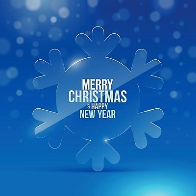 EPS 해외이미지 전통 계절 별 종교 백그라운드 크리스마스 겨울 일러스트 공 가족 새해 기념 미술 이벤트 장식 빛 반짝임 펼침 축하 인사 신용카드 고급 연도 광택 통과 블러 해외202004 해외일러스트 자연요소 기념일 컨셉 관계 모션 문화예술 금융 예절 파일형식 벡터