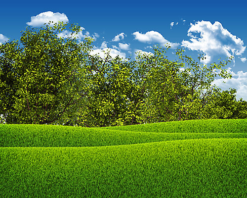 포토 JPG 해외이미지 나무 식물 하늘 날씨 풍경 잔디 초원 사람없음 야외 초록색 햇빛 태양 맑음 봄 전원 해외202004 해외포토 자연요소 계절 컬러 전기에너지 파일형식