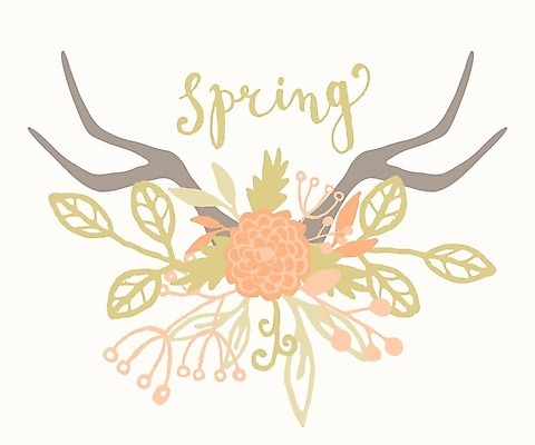 EPS 해외이미지 손 디자인 계절 꽃 행복 포스터 분홍색 결혼 백그라운드 잎 꽃무늬 오렌지 일러스트 텍스트 휴가 사슴 부활절 뿔 그래픽 장식 초록색 화환 봄 낭만 수확 벚꽃 인사 신용카드 인쇄 시원함 편지 복고 엽서 손그림 엘리먼트 월계수 파스텔톤 해외202004 해외일러스트 식물 기념일 감정 컬러 컨셉 무늬 농업 과일 포유류 이벤트 신체부위 금융 예절 파일형식 벡터