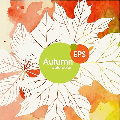 EPS 해외이미지 식물 백그라운드 단풍 잎 일러스트 자연 수채화 사람없음 빨간색 노란색 가을 기름 밤 해외202004 해외일러스트 계절 음식 컬러 견과류 생태계 파일형식 벡터