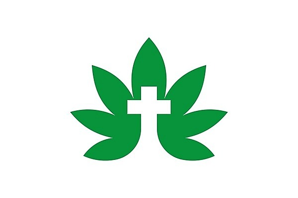 EPS 해외이미지 식물 디자인 음식 잎 농업 일러스트 자연 건강 씨앗 그래픽 치료 초록색 약 잡초 액체 삼 연기 떨어짐 약초 기름 허브 심볼 에코 유기농 내추럴 돌봄 바이오 불법 추출 대마초 마리화나 해외202004 해외일러스트 웰빙 산업 컬러 컨셉 채소 의학 모션 환경 풀 범죄 생태계 마약 파일형식 벡터