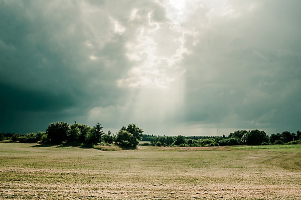 포토 JPG 해외이미지 구름 계절 백그라운드 밭 농업 자연 하늘 날씨 풍경 잔디 초원 사람없음 초록색 여름 빛 컬러풀 햇빛 농경지 환경 어둠 봄 활발 가을 시골 분위기 땅 장면 폭풍 뇌우 폭풍우 수평선 해외202004 해외포토 자연요소 식물 산업 컬러 컨셉 태양 농장 비_날씨 자연재해 생태계 파일형식