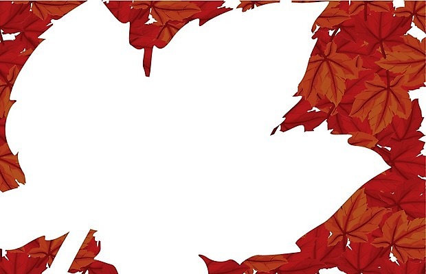 EPS 해외이미지 나무 식물 템플릿 디자인 배너 백그라운드 단풍 잎 캐나다 일러스트 텍스트 자연 추상 프레임 미술 장식 빨간색 환경 공백 흰색 신용카드 모서리 가장자리 사인 그림 윤곽 리빙 정맥 내추럴 생태학 엘리먼트 스타일 각인 카피스페이스 국경 해외202004 해외일러스트 교육 컬러 북아메리카 무늬 문화예술 금융 둘레 생태계 혈관 파일형식 벡터