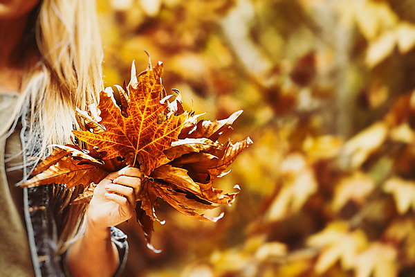 포토 JPG 해외이미지 나무 모델 라이프스타일 계절 공원 여자 백그라운드 컨셉 단풍 잎 자연 휴가 휴식 한명 사람 성인 야외 햇빛 노란색 유행 맑음 일몰 기쁨 낭만 가을 숲 스타일 성인여자한명만 카피스페이스 해외202004 해외포토 식물 1 공공시설 감정 컬러 날씨 생활 태양 노을 공백 생태계 여자한명만 성인여자만 파일형식