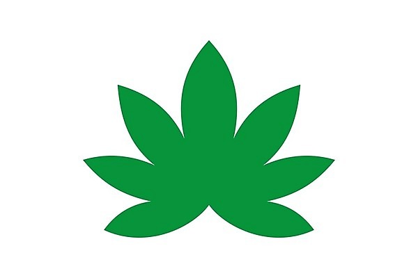 EPS 해외이미지 식물 디자인 음식 잎 농업 일러스트 자연 건강 씨앗 그래픽 치료 초록색 약 잡초 액체 삼 연기 떨어짐 약초 기름 허브 심볼 에코 유기농 내추럴 돌봄 바이오 불법 추출 대마초 마리화나 해외202004 해외일러스트 웰빙 산업 컬러 컨셉 채소 의학 모션 환경 풀 범죄 생태계 마약 파일형식 벡터