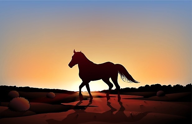 EPS 해외이미지 클립아트 식물 동물 모래 백그라운드 일러스트 하늘 풍경 그래픽 파란색 세트 태양 농장 갈색 일출 어둠 일몰 흙 사막 뜨거움 소 만화 땅 그림 장면 땅바닥 오지 해외202004 해외일러스트 자연요소 컬러 농업 포유류 바닥 노을 파일형식 벡터