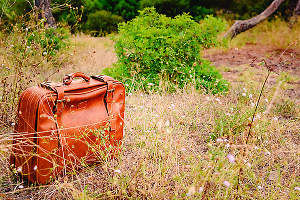 포토 JPG 해외이미지 모자 전통 여행 백그라운드 컨셉 밭 가방 자연 휴가 풍경 사람없음 목재 여름 갈색 여행가방 자유 수확 골동품 짐 시골 황금 가죽 밀 부식 복고 수납 내추럴 서쪽 수하물 옛날 해외202004 해외포토 나무 잡화 계절 컬러 농업 재료 곡류 방향 생태계 파일형식