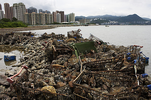 포토 JPG 해외이미지 바다 자연 통 건강 어류 풍경 사람없음 야외 쌓기 보트 오염 쓰레기 폐기물 플라스틱 거절 낚시꾼 문제 낭비 내추럴 매립 해외202004 해외포토 컨셉 배_교통 모션 재질 수중동물 생태계 파일형식