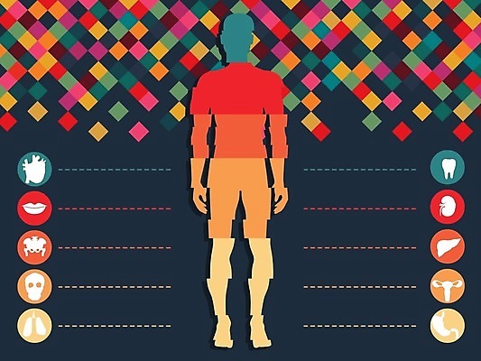 EPS 해외이미지 모양 백그라운드 컨셉 일러스트 벽지 추상 화살 아이디어 그림자 그래픽 장식 디지털 하트 도시 신장 레이아웃 간 기하학 엘리먼트 해외202004 해외일러스트 무늬 장기_의학 비뇨기관 파일형식 벡터