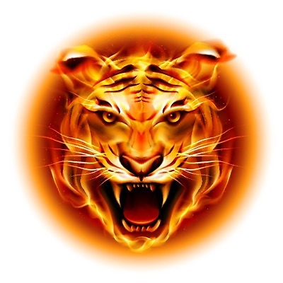 EPS 해외이미지 동물 1 디자인 백그라운드 오렌지 일러스트 자연 불 불꽃 프레임 형상 미술 사람없음 그래픽 노란색 머리 검은색 고양이 힘 줄무늬 분노 원형 그리기 호랑이 치아 더위 위험 만화 문신 심볼 사인 그림 매움 육식동물 송곳니 고립 동물상 엘리먼트 포효 해외202004 해외일러스트 자연요소 도형 감정 컬러 컨셉 무늬 과일 포유류 모션 날씨 문화예술 신체부위 반려동물 조형물 외침 소화기관 맛 생태계 파일형식 벡터