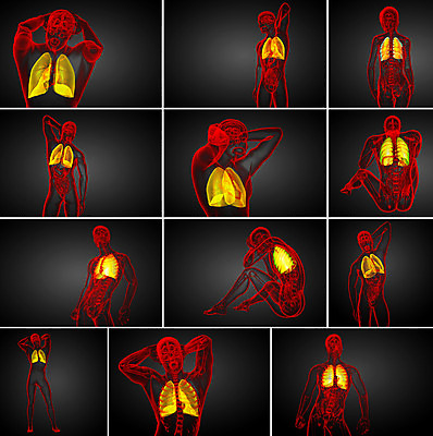 포토 JPG 해외이미지 신체 해부 사람 사람없음 3D 오르간 생물학 궤 해외202004 해외포토 교육 의학 건반악기 디지털합성 파일형식