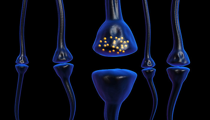 포토 JPG 해외이미지 과학 신체 해부 생물 세포 사람 사람없음 머리 3D 뇌 생물학 만들기 바이오 해외202004 해외포토 교육 의학 모션 신체부위 디지털합성 파일형식