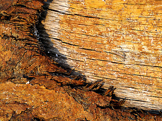 포토 JPG 해외이미지 디자인 외관 벽 백그라운드 패턴 자연 탁자 표면 날씨 추상 바닥 그림자 사람없음 목재 장식 갈색 수확 시골 기둥 소나무 판넬 얼룩 구멍 거친 널 낟알 방향 타일 책상 질감 복고 목공예 그런지 수목 옛날 파케트 국경 해외202004 해외포토 나무 건축 컬러 가구 무늬 농업 재료 공예 생태계 파일형식