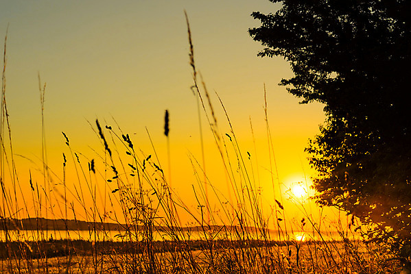 포토 JPG 해외이미지 바다 자연 하늘 풍경 사람없음 야외 빨간색 빛 햇빛 태양 반사 노란색 일출 맑음 황혼 일몰 낭만 수평선 해외202004 해외포토 자연요소 컬러 컨셉 날씨 노을 생태계 파일형식