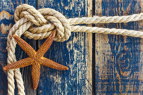 포토 JPG 해외이미지 디자인 배너 별 밧줄 벽 바다 여행 백그라운드 컨셉 패턴 자연 벽지 날씨 조개 불가사리 바닥 연체동물 프레임 사람없음 목재 장식 파란색 어둠 손상 수확 껍질 신용카드 거친 갑판 묘사 질감 매듭 엽서 내추럴 강렬 수목 옛날 국경 해외202004 해외포토 자연요소 나무 줄 컬러 무늬 농업 배_교통 재료 어패류 극피동물 무척추동물 금융 편지 생태계 파일형식