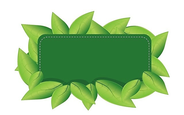 EPS 해외이미지 모양 나무 식물 디자인 꽃 지구 백그라운드 컨셉 잎 꽃무늬 일러스트 자연 추상 건강 미술 그래픽 장식 초록색 라벨 환경 웹 봄 재활용 에너지 성장 흰색 신선 원형 상품 심볼 사인 에코 유기농 생태계 내추럴 고립 바이오 생태학 엘리먼트 오리지널 해외202004 우호적 해외일러스트 도형 웰빙 계절 교육 컬러 무늬 인터넷 문화예술 프레임 친환경 파일형식 벡터