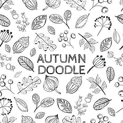 EPS 해외이미지 모양 식물 디자인 배너 계절 포스터 백그라운드 단풍 잎 패턴 오렌지 일러스트 자연 벽지 추상 휴가 컬러풀 검은색 가을 흰색 밤 숲 그림 엘리먼트 해외202004 해외일러스트 컬러 무늬 과일 견과류 생태계 파일형식 벡터