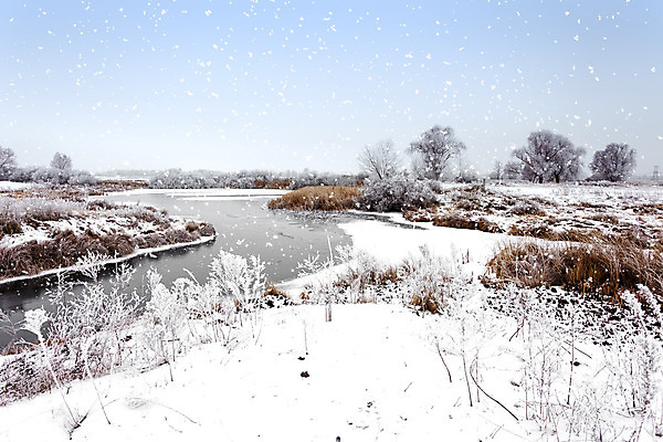 포토 JPG 해외이미지 나무 계절 조각 겨울 밭 자연 벽지 하늘 날씨 풍경 초원 사람없음 야외 목재 물 강 얼음 산책 하이킹 추위 안개 백발 흰색 개울 12월 서리 장면 북쪽 눈보라 내추럴 제설기 폭설 눈내림 프로스팅 해외202004 해외포토 자연요소 식물 헤어스타일 컬러 농업 재료 레저 휴식 눈_날씨 날짜 자연재해 방향 생태계 제빵 제설 파일형식
